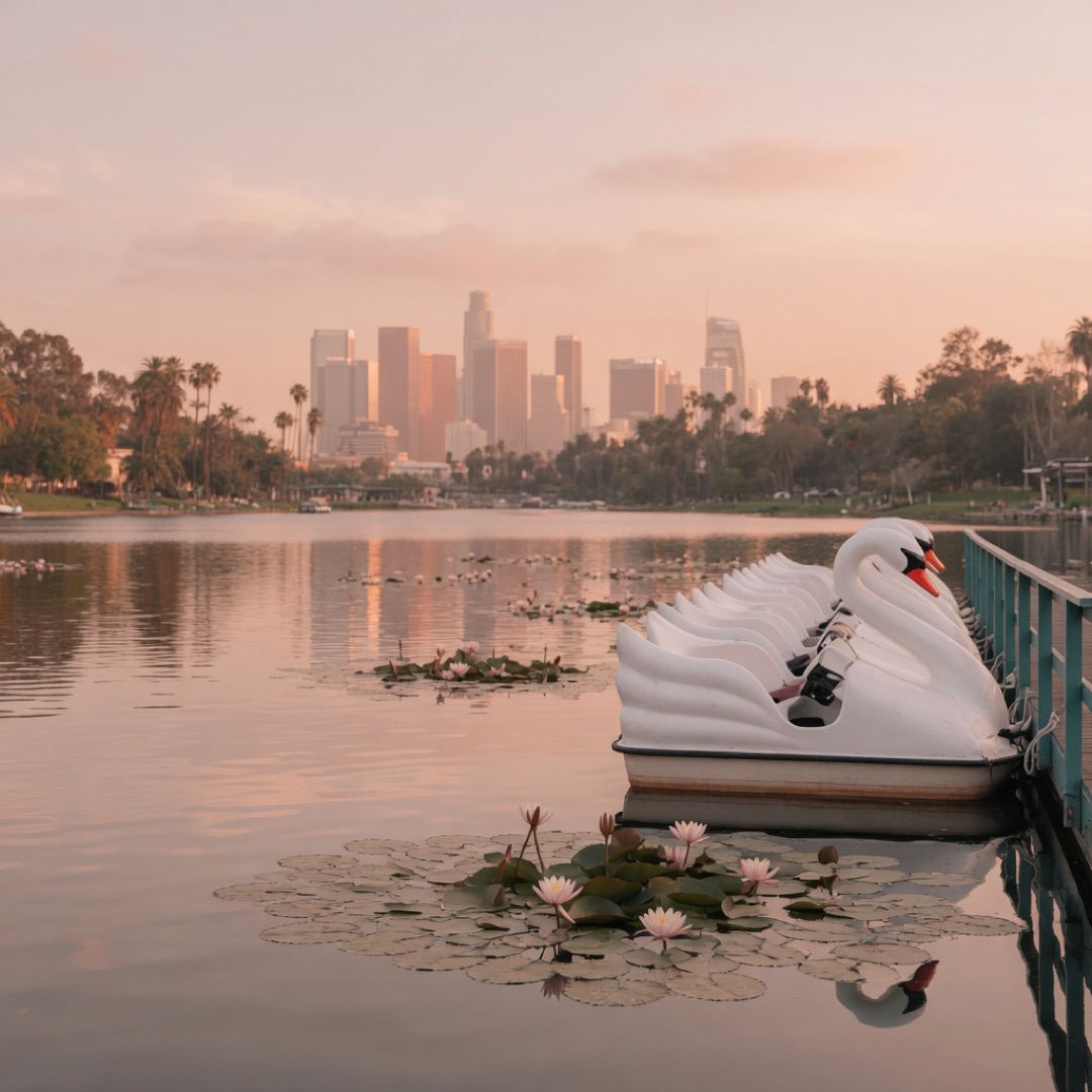 Lake loop with skyline and palm trees at Echo Park, Los Angeles