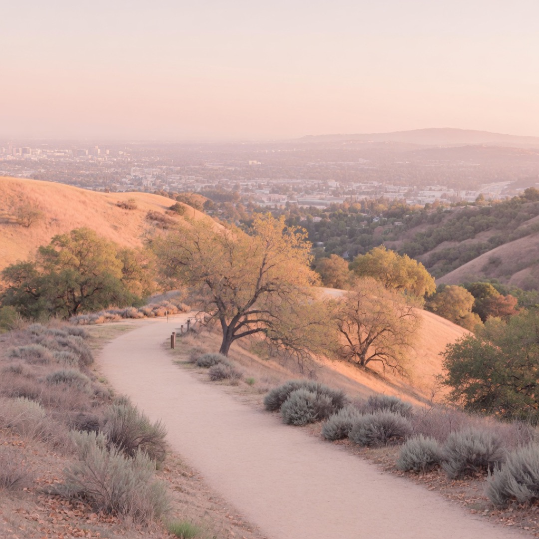 Open parkland and trees in Griffith Park, Los Angeles