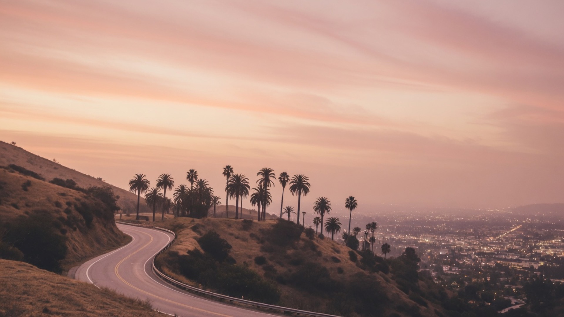 Hills and palm silhouettes at dusk in Los Angeles