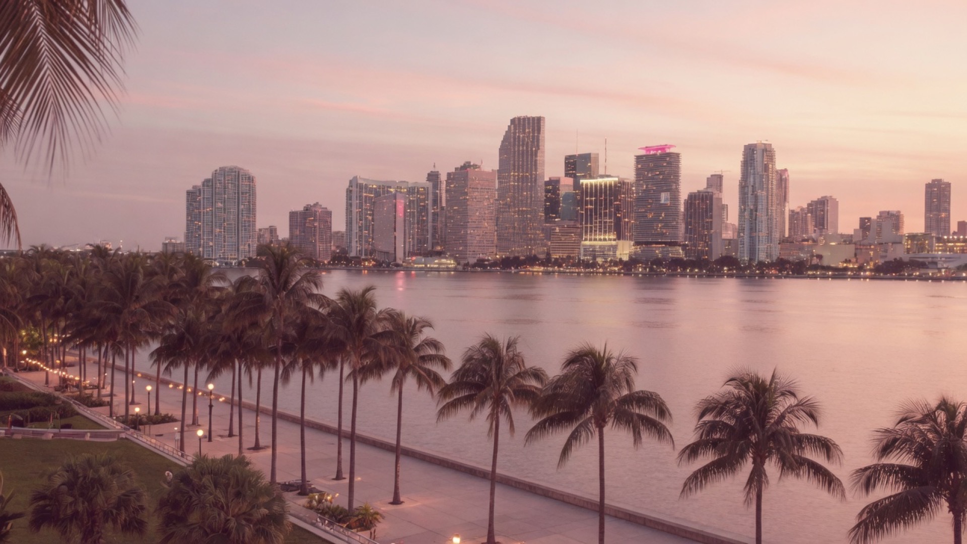 Bay water and palm silhouettes at dusk in Miami