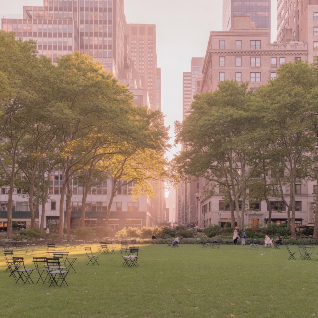 Lawn and trees in Bryant Park, Midtown Manhattan