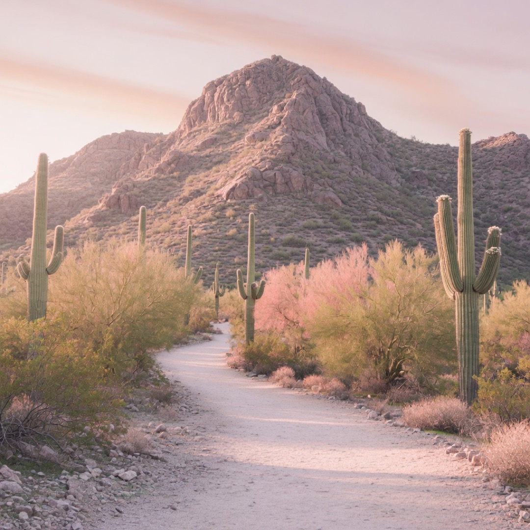 Desert trail at the base of Piestewa Peak, Phoenix