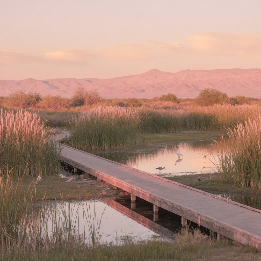 Path and water at the Riparian Preserve, Gilbert