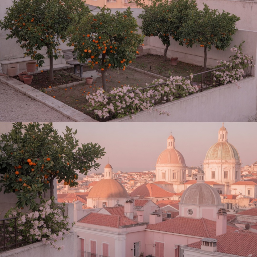 Orange trees and the classic panorama from Giardino degli Aranci on the Aventine