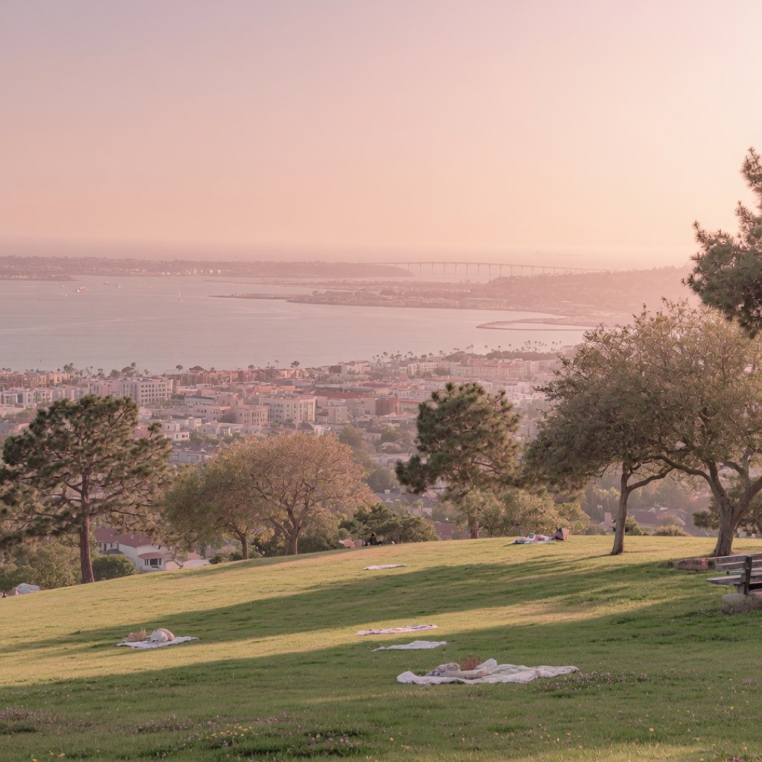 Hilltop lawn at Kate Sessions Park, San Diego