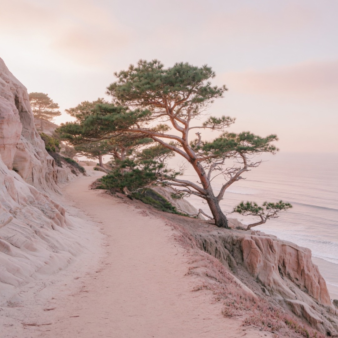 Coastal trail at Torrey Pines, San Diego