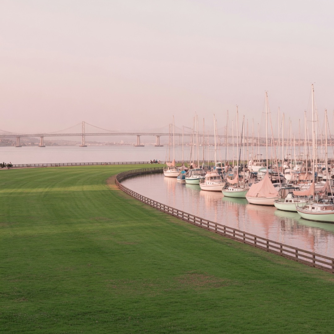 Lawn along the bay at Marina Green, San Francisco