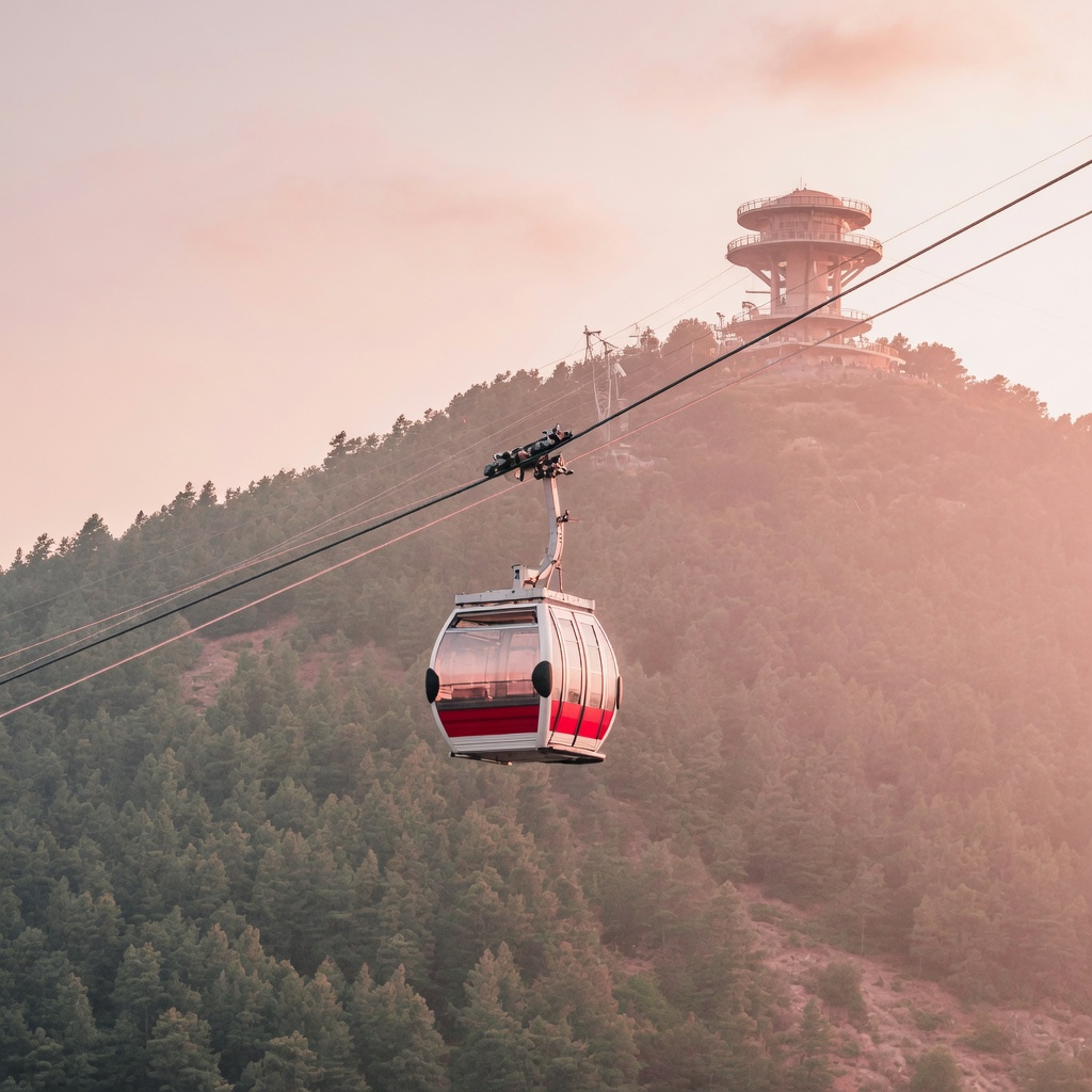 The Namsan cable car rising over the trees toward the summit