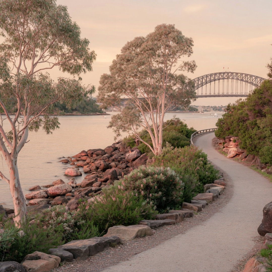 The harbour walk at Bradleys Head with the bridge in the distance