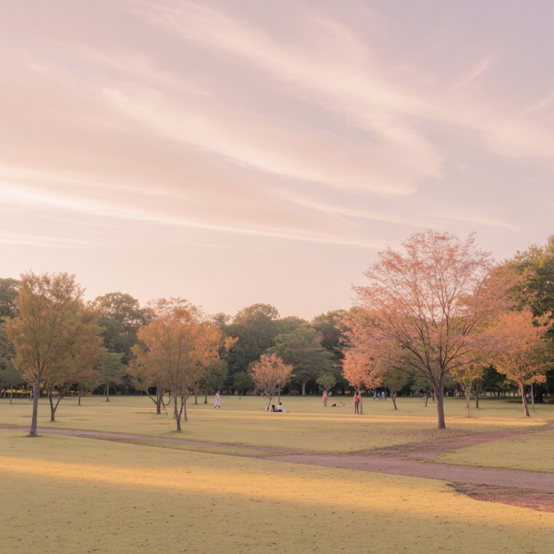 Open lawns and trees in Yoyogi Park, Tokyo